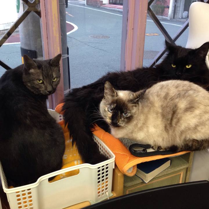 280725f6 f3c3 43e7 8bd5 001ef14168f3