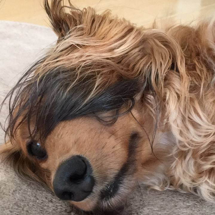 2808684c 5764 458b 96d5 830fcda69dd3