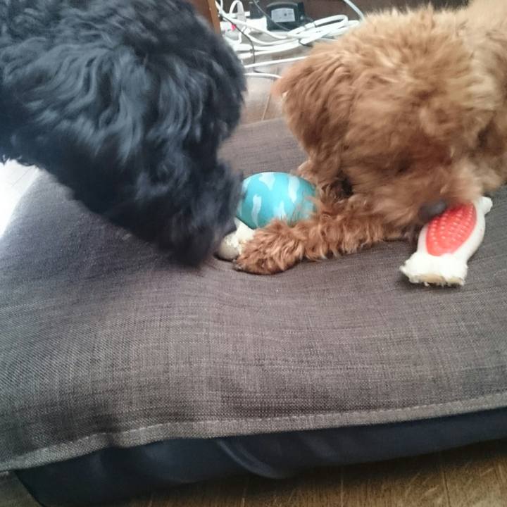 280886ca 1b27 4c6f 9f17 b2a3a4330e6d