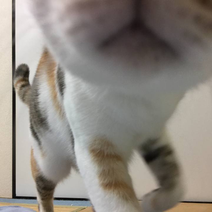 2808d61d 62b8 419f 8bbe 3e8871024fe1