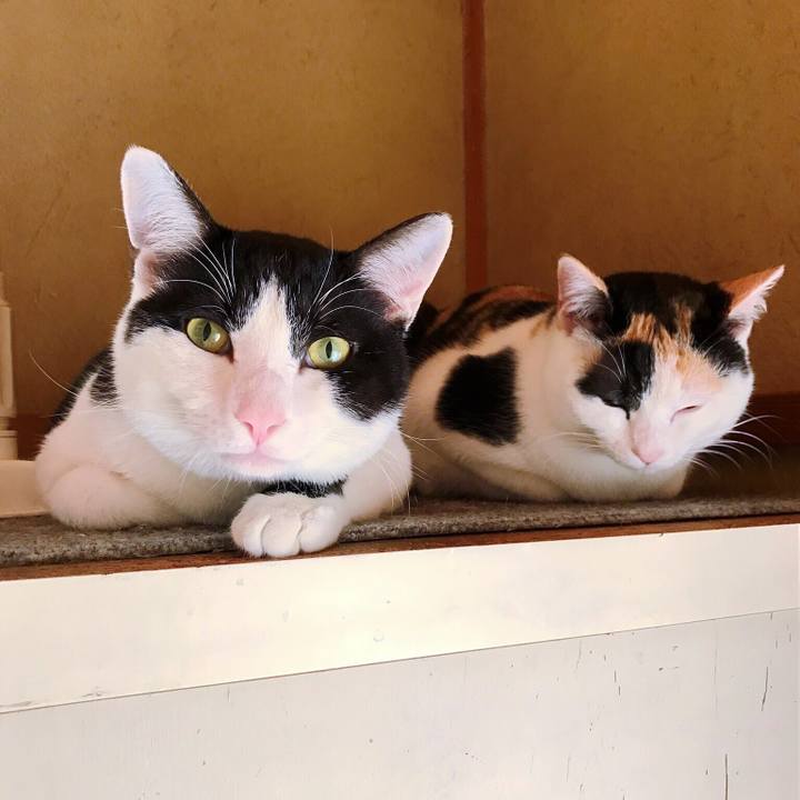 2808e0fe 3864 4fa4 b21e 322fa82d4f02