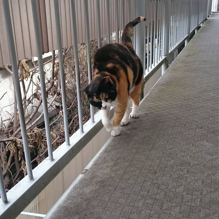 2809224f b161 4db6 badf 5f659b3b0ff6