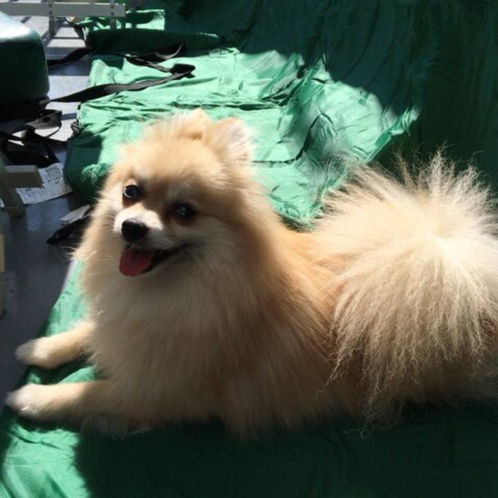 28095f5e 980a 4607 bdc7 eceaee0ecee4