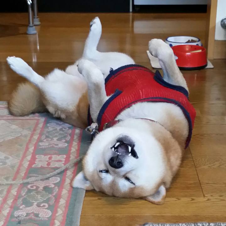 28097999 00a4 4f84 bbb4 33dcb31482d1