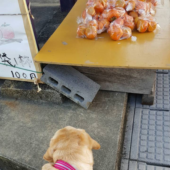 2809e905 e0fa 41b8 8890 514b56bd0ba0