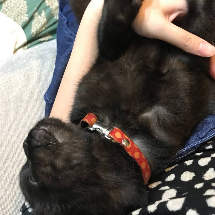 280a55f9 dad7 4a1c 94bf 7c7253a0bb06