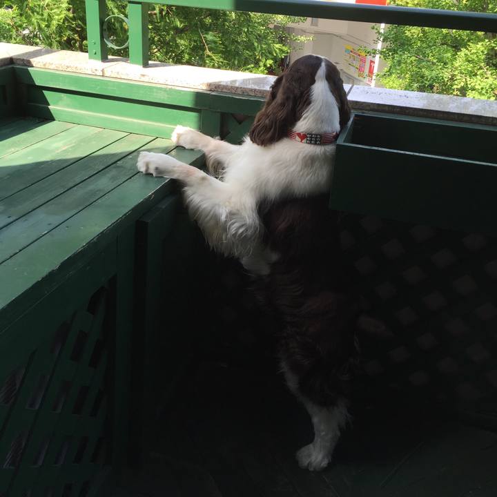 280a5645 2443 4a56 834d be522b66cc2d