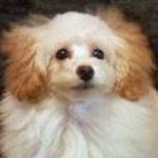 280a6d15 39a6 4e78 a2ec 4910bb1c2192