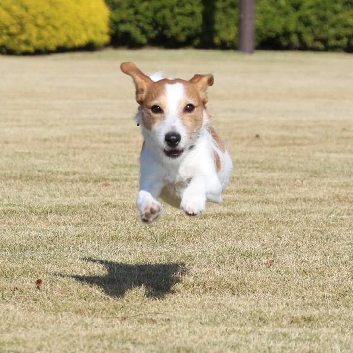 280aff1e 6d85 455f be46 8fd3442d29f2