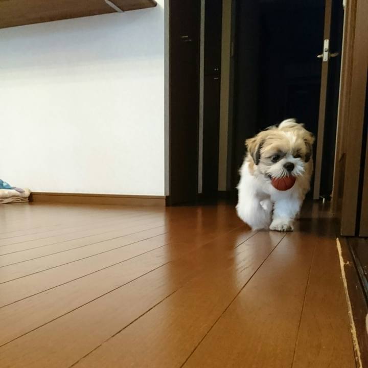 280b9c71 e7b6 42f1 9afe ccea939665ff