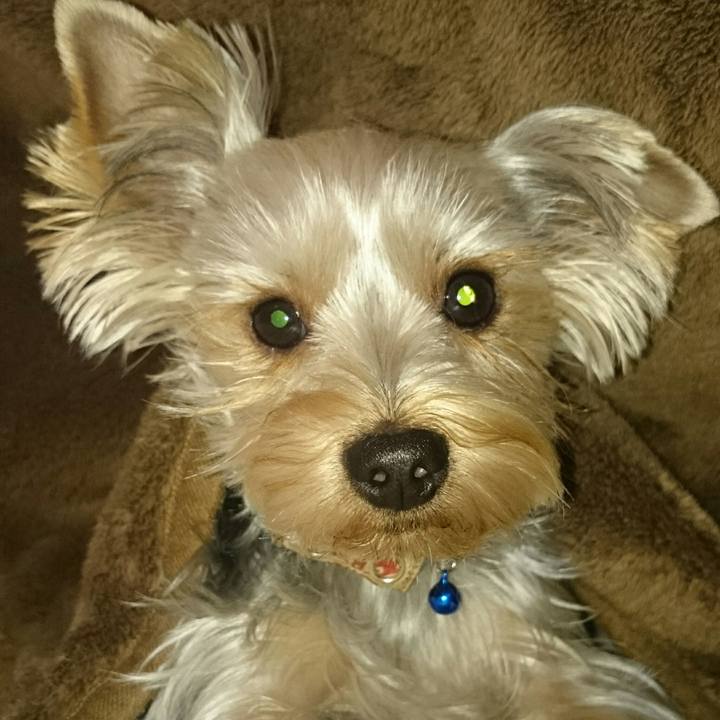 280ba8af 982a 4631 8e71 56aa130f1124