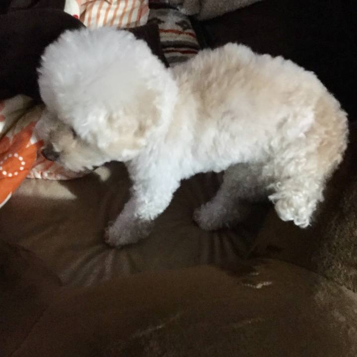 280cb73b 2016 4897 8dd7 42fc40848ae2