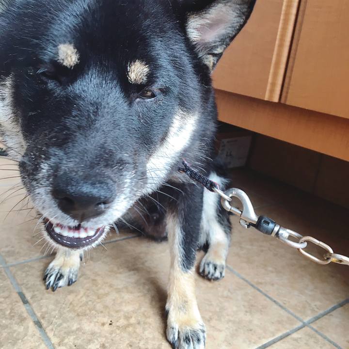 280d0d25 b647 4fd0 a05c e39cfdd4f7f7