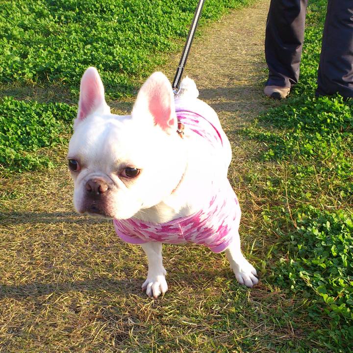 280d3c53 02f4 4d46 907c 9f707b720652