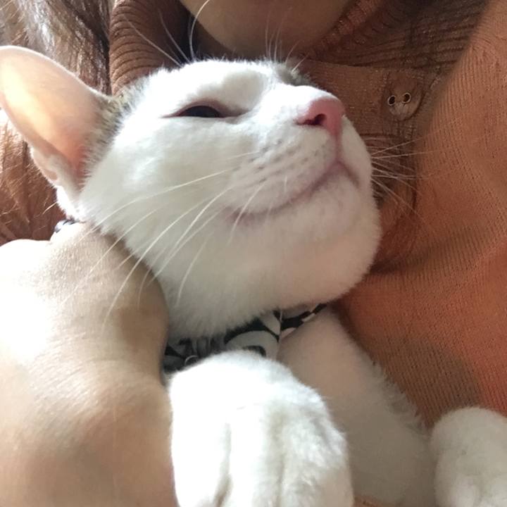 280d6900 34e1 4753 827b a233009a7e3e