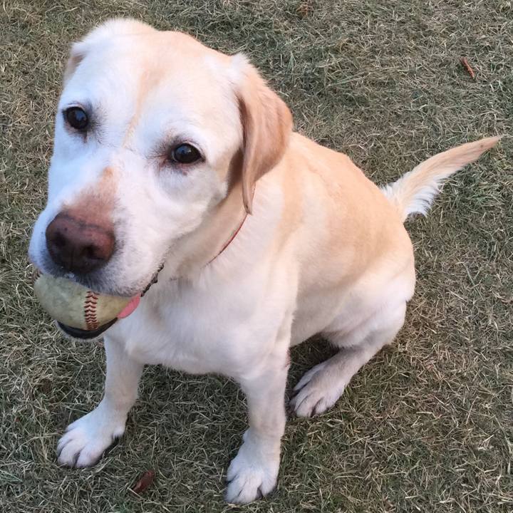 280dc21a 1214 49a0 a090 d8bf881e8b4b