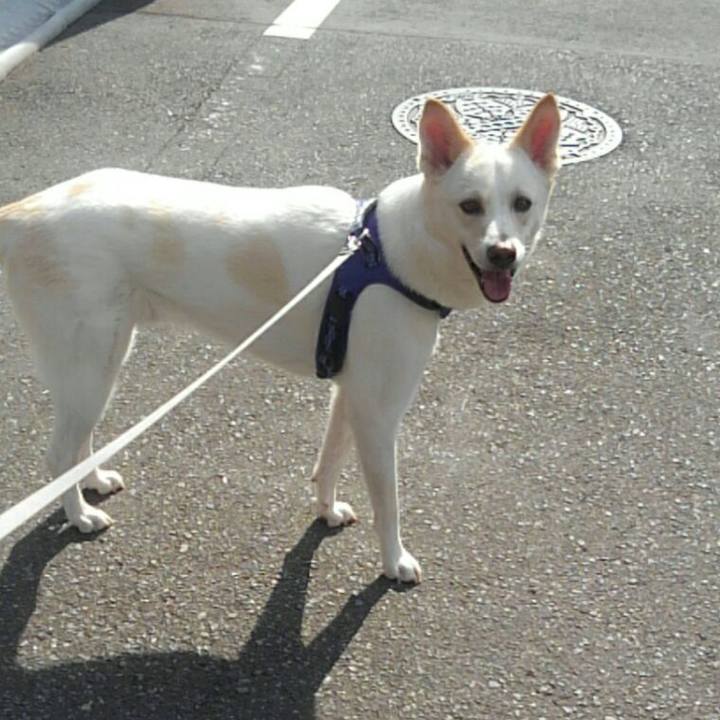 280df3ad 3d7f 437a 9206 8bd5003c548a