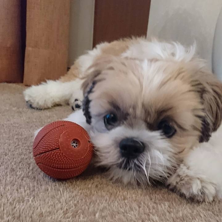 280ee2aa ab90 46be 86fb 0aea2b465793