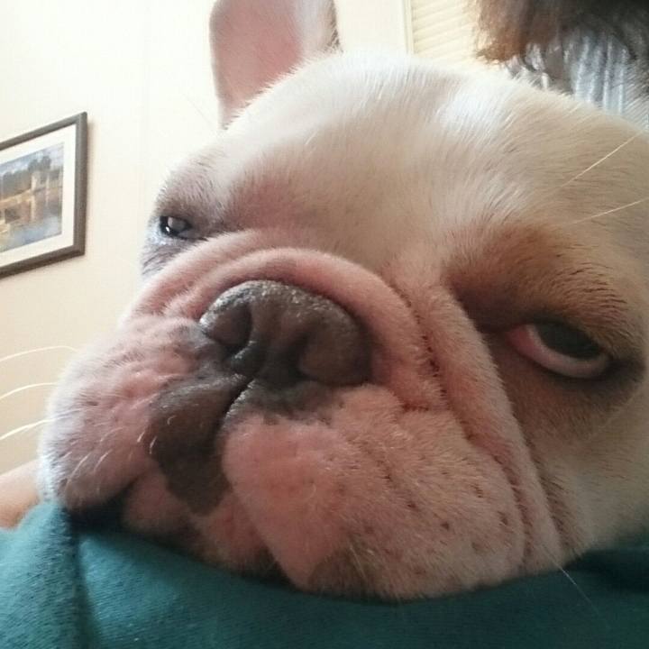 280eff74 6dbf 4a84 9c7e aa84dfe6186b