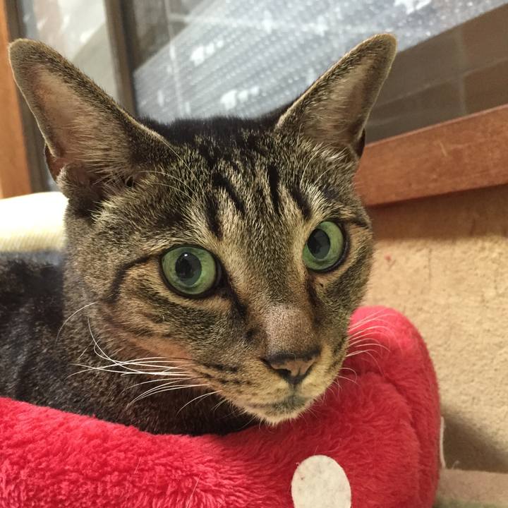 2810a740 2d64 4d16 aa36 8ddfeddcc734