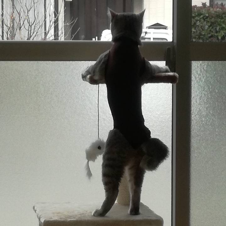 2810e3a5 af1e 4a92 8c41 3c9b65179e70