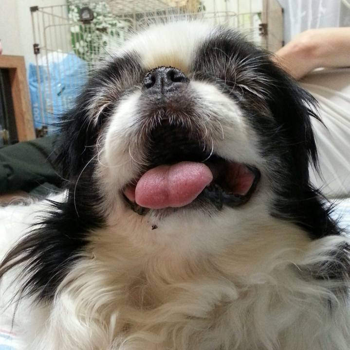 2810f396 b6f5 4e7a a632 aa3008463cc3