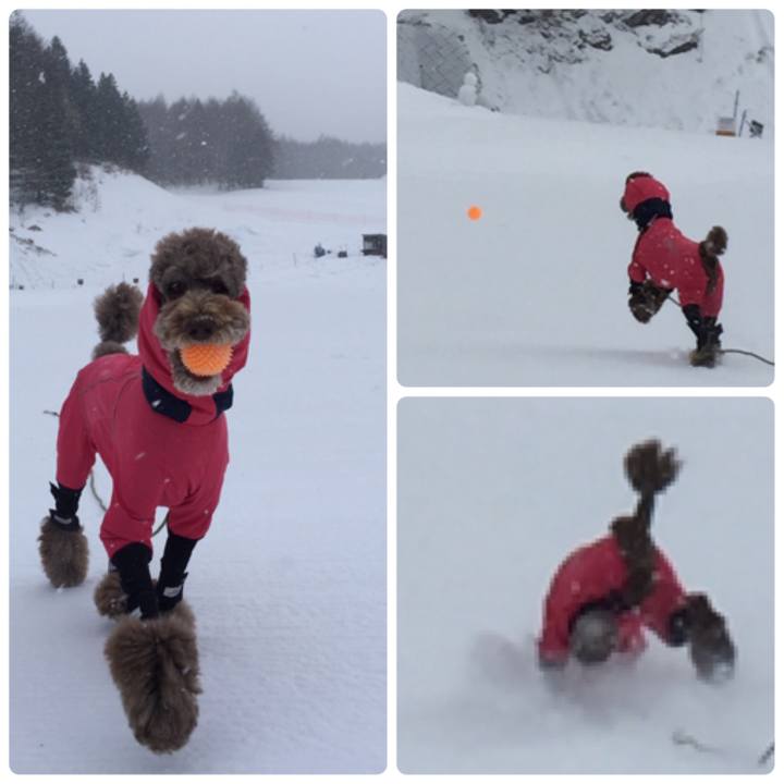 28111726 d921 4546 9b33 b281b80ad870