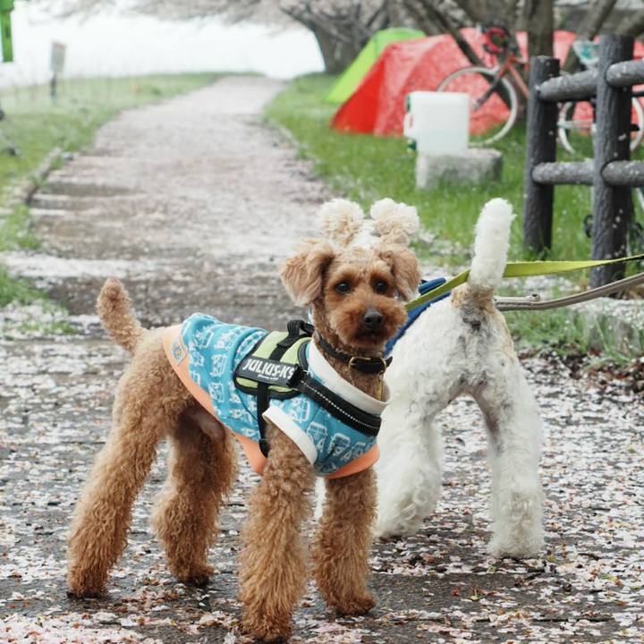 28115f8d c52e 462d b163 5bfec634b6c3