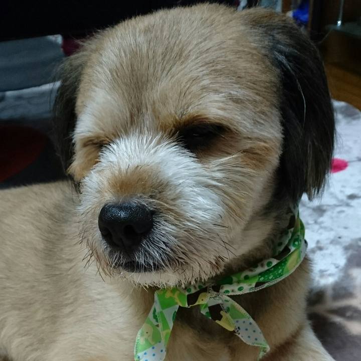 2811b2da 0e39 4331 898a 5bf7a0ea492f