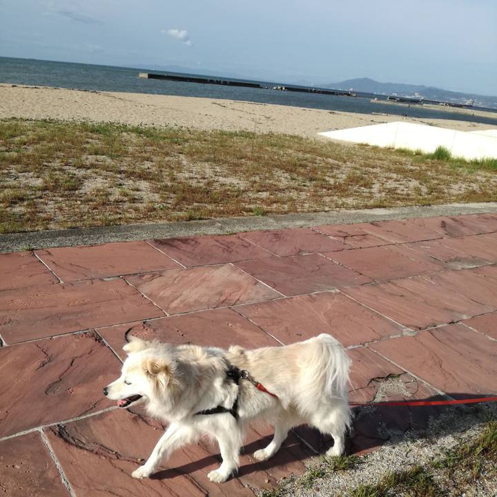 2811c4fa d10e 42ae bc6f 6a264e331197