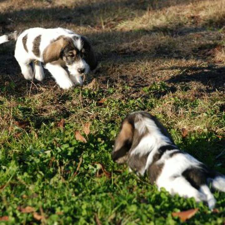 2811c595 efd2 4288 a22a f69ce0c1014e