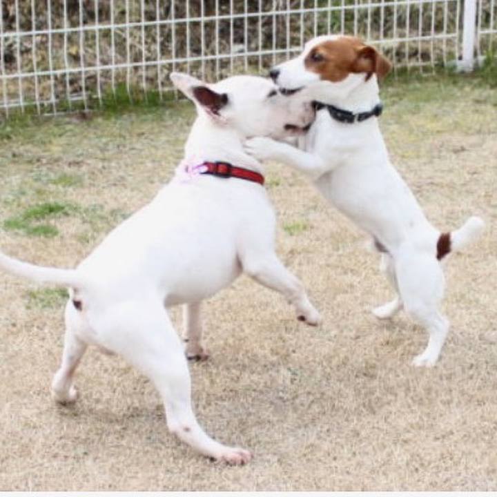 2811cc91 7bb4 4044 aa9d df170cac03f4