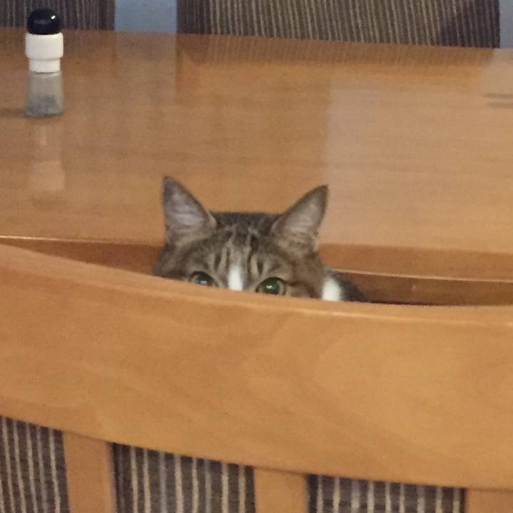 28122bf3 ddc3 48cc b2f2 1916696d71f3