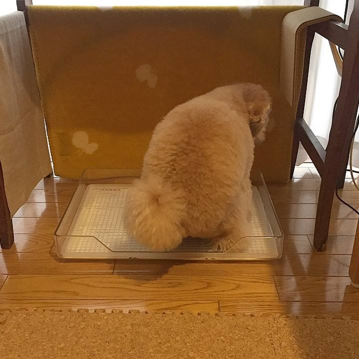 28123683 d0bc 4e22 8497 de34db04c50f