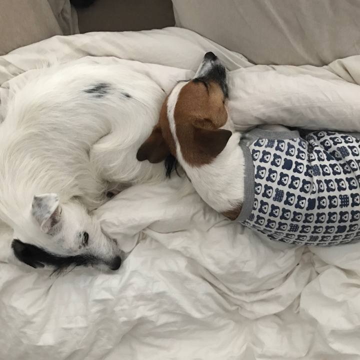 2812d9cc 5880 4775 b6f7 f5968285a3e2