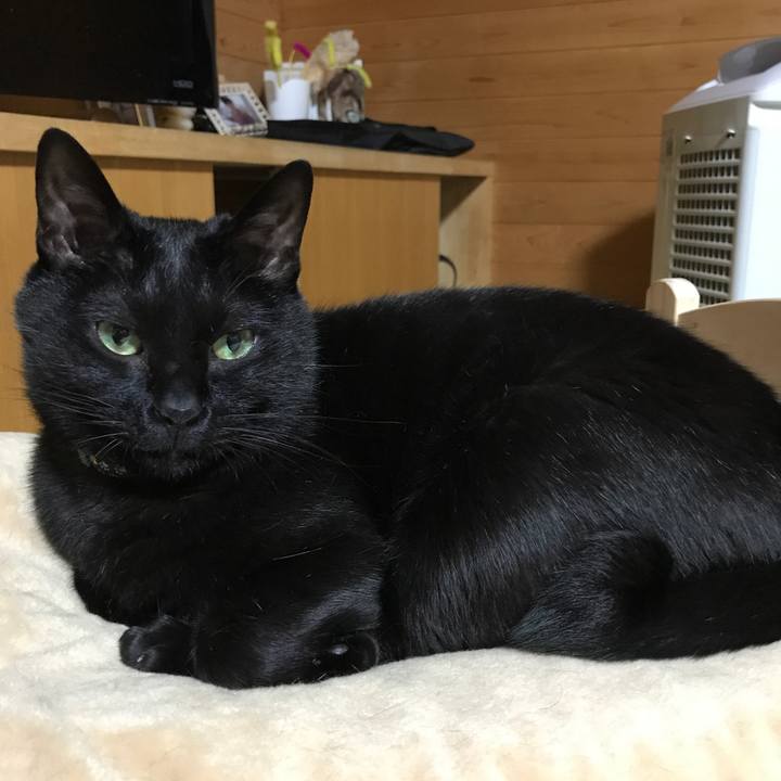 28131e1f 5cee 44cb bbc1 bc4ed1700f09