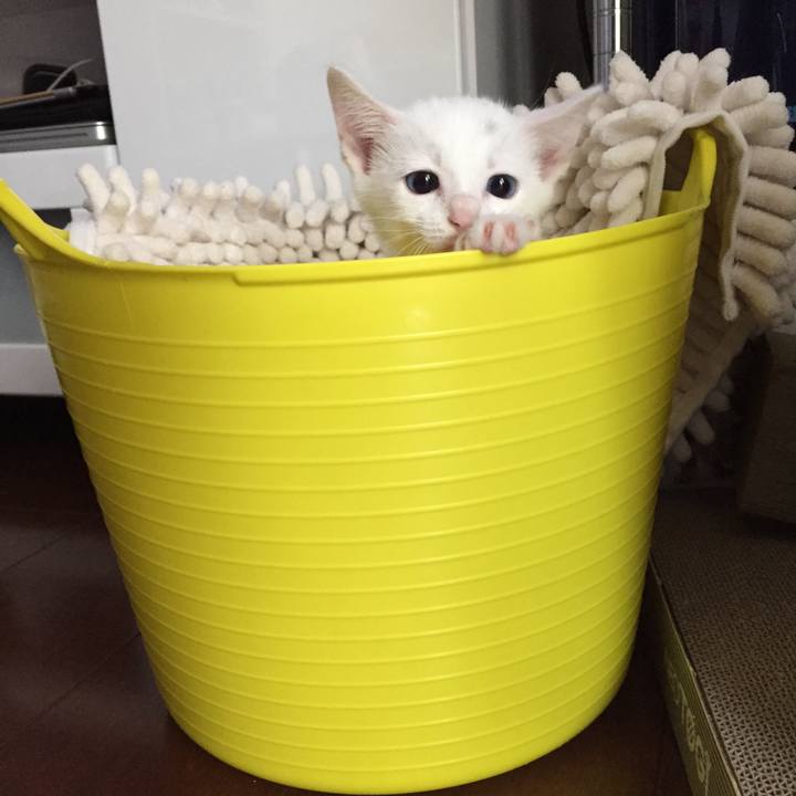 2813322d 54c8 4187 a658 2b0c689c3b1e