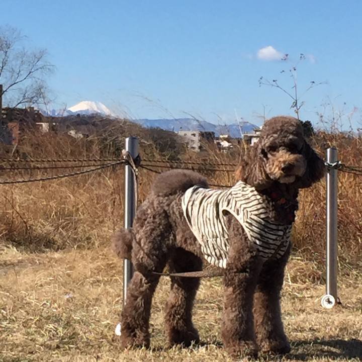 28137330 2d93 48a4 9b81 2d5999e39130