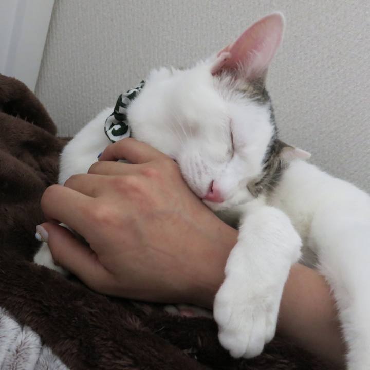 281390f1 540b 453b b07d 32747cdc14f2