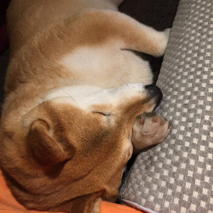 2813c9c5 50d7 4c52 bdde 1e835a3f374c