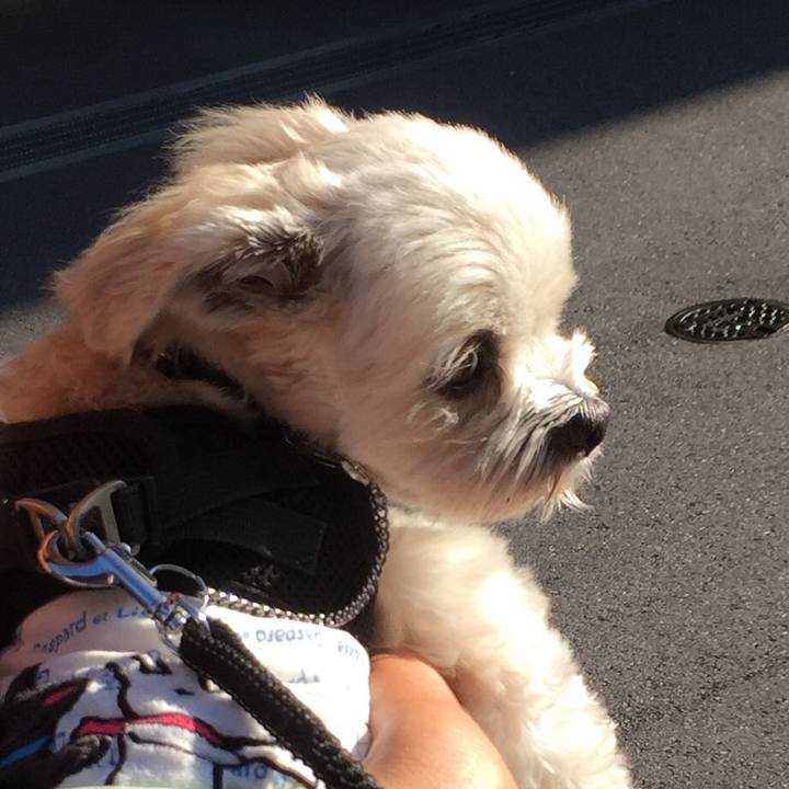 2813ec44 98d2 4664 bf67 4daf7cf0735c