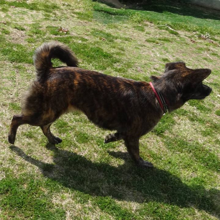 2814401b 8110 40c9 8069 2f7cfb6b5154