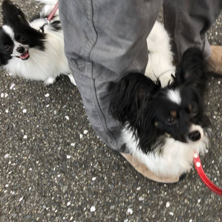 28144bbe 4ba0 45a4 b53a 94fcc2d892c4