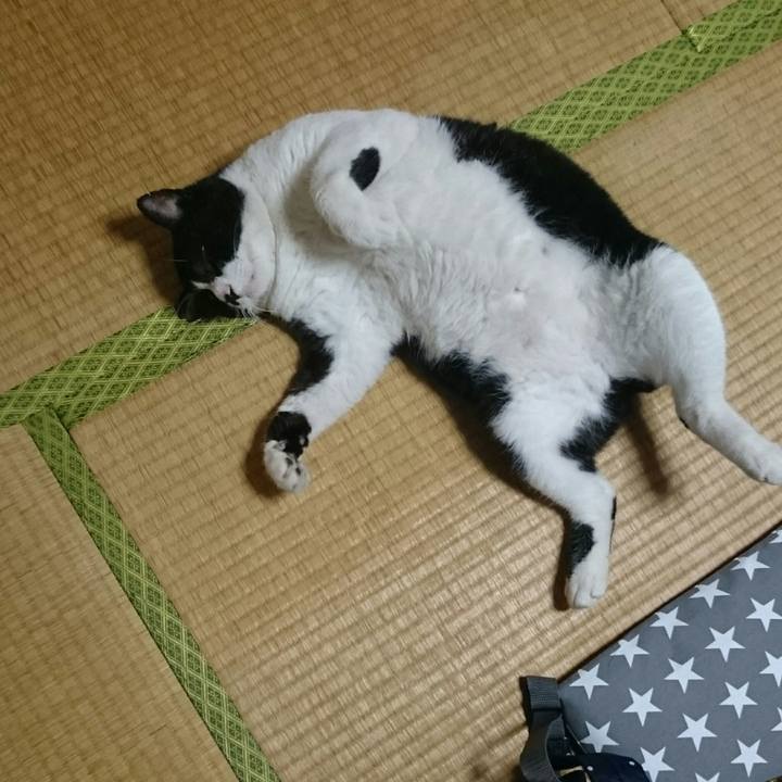 2814832f 5bab 477f a424 f63167bb1eed