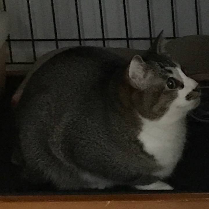 2814aa8f 90c1 47ba 91d4 01dd1daa73d6