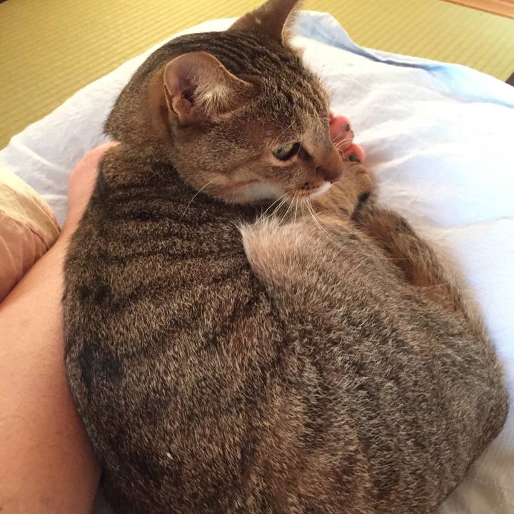 2814e6e5 472c 4a39 be35 6204e82eea87