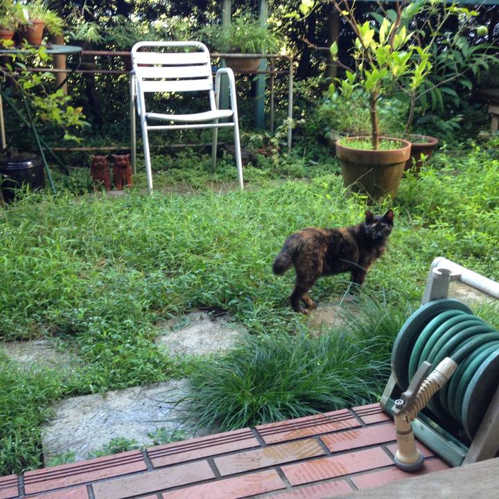 281587bb b574 4588 bab6 deafcca130de