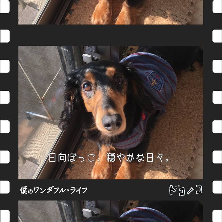 2815c1d0 0a4a 4e61 851a 8e647745c08d