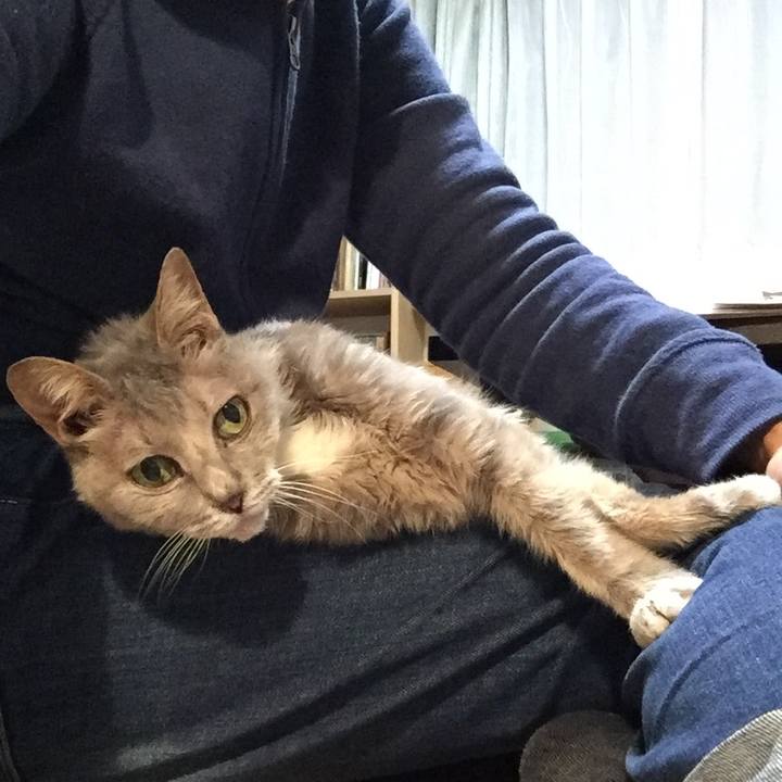 2816193b 3184 4c00 8d7f 71acfed2fc94