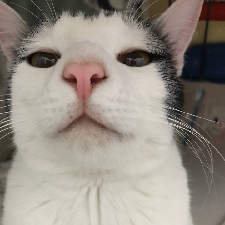 28171f41 bf67 4aba a7a6 055d70b47ebe